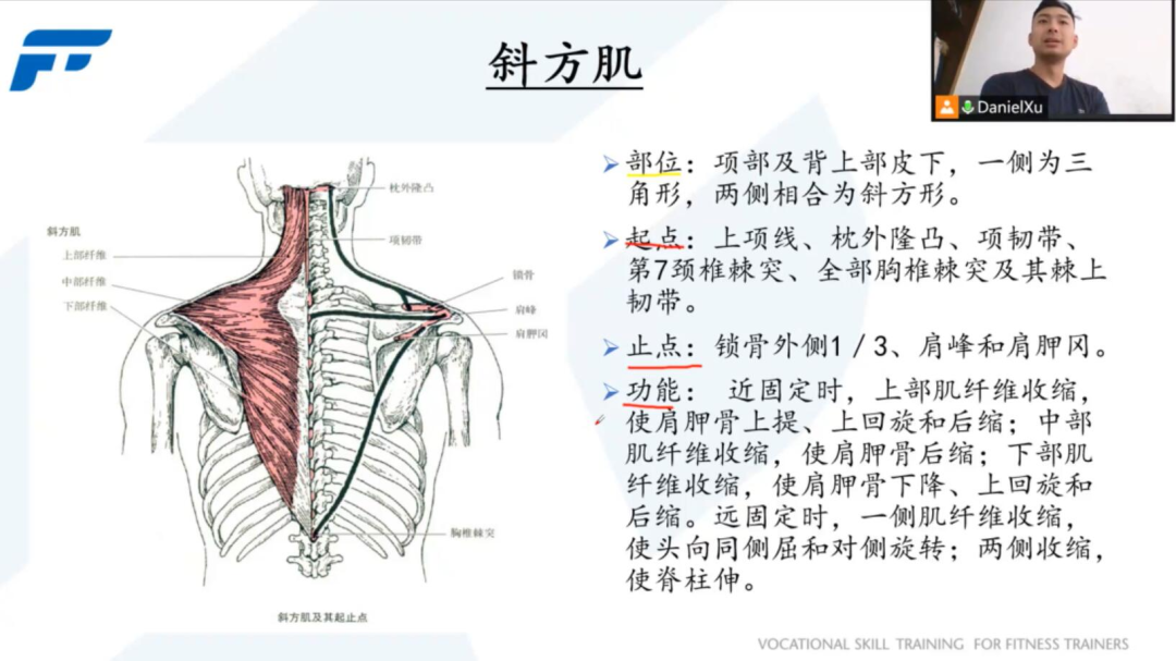 营养学健身教练培训_健身教练营养学有哪些_培训教练营养健身学什么好